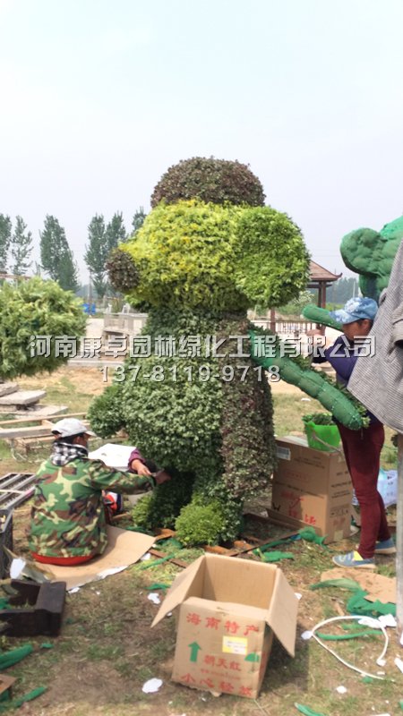 湖北武穴橫崗山立體花壇