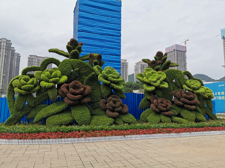 五色草造型,立體花壇,綠雕