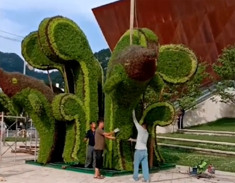 立體花壇,五色草造型,綠雕