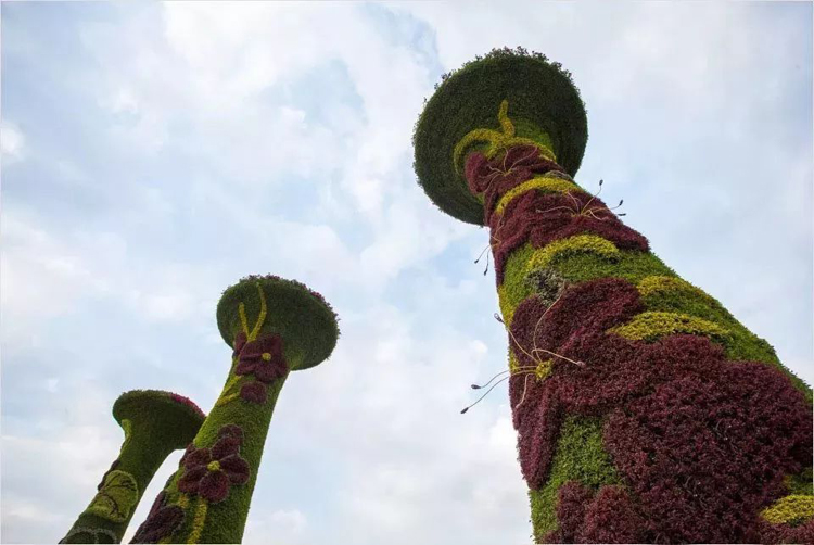 立體花壇,五色草造型,綠雕